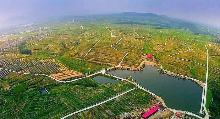 山东新出网红景点,山东新泰良心谷生态旅游景区,风景十分优美